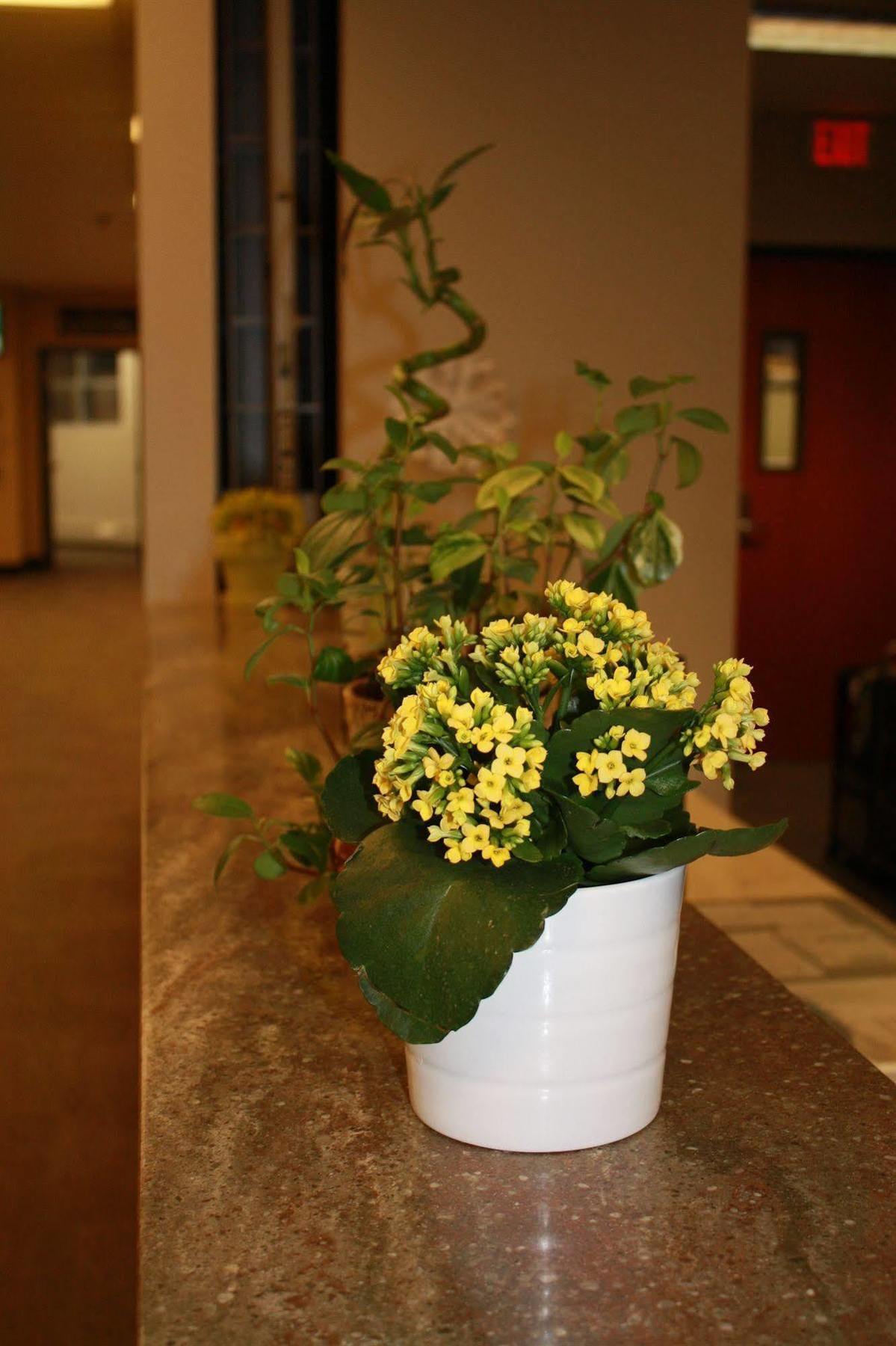 University Of Alberta - Hotel Едмънтън Екстериор снимка